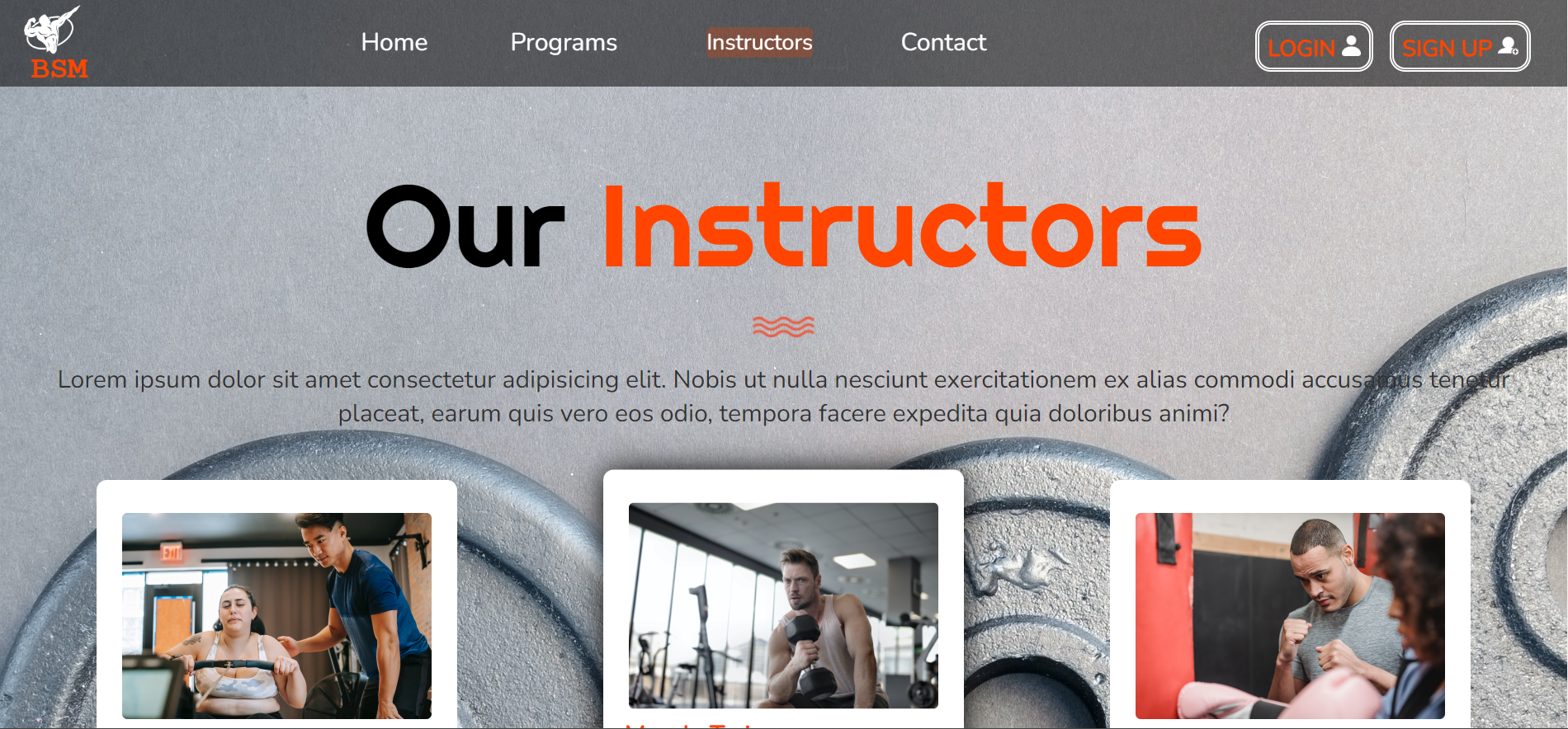 BSM instructors