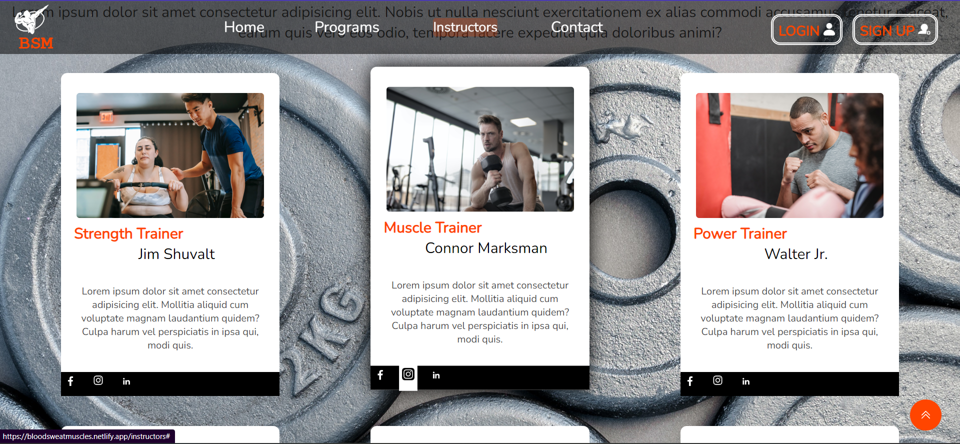 BSM instructor-hover